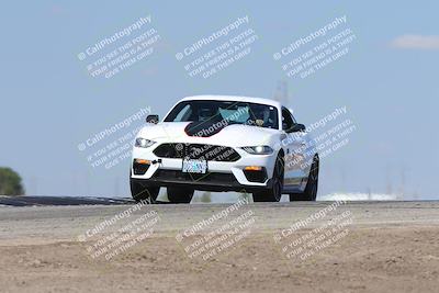 media/Oct-04-2025-OnGrid (Sat) [[44bd565ffa]]/Purple Group/Grapevine/